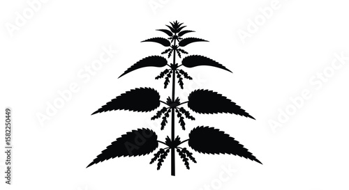 The emblematic representation of a stinging nettle plant as a botanical symbol