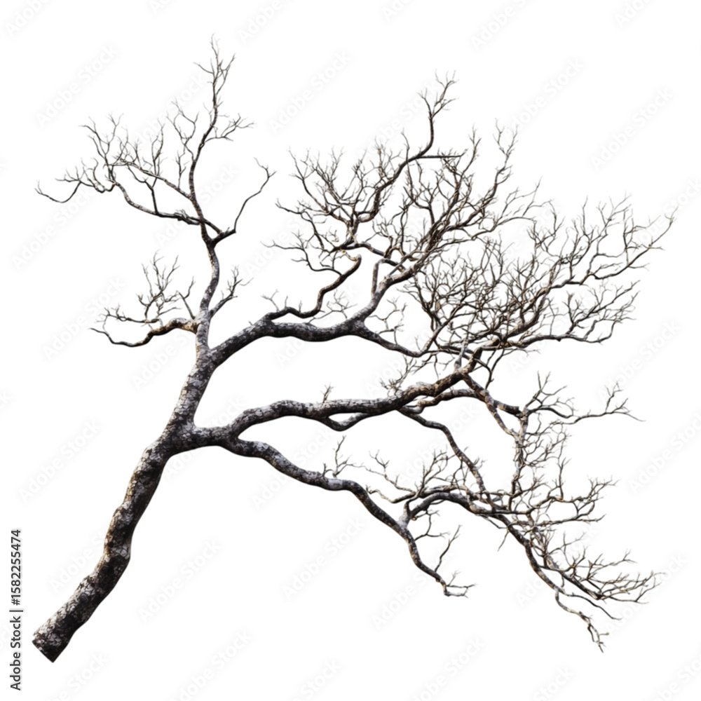 Fototapeta premium Abstract Tree in Geometric Landscape Dreamlike and surreal