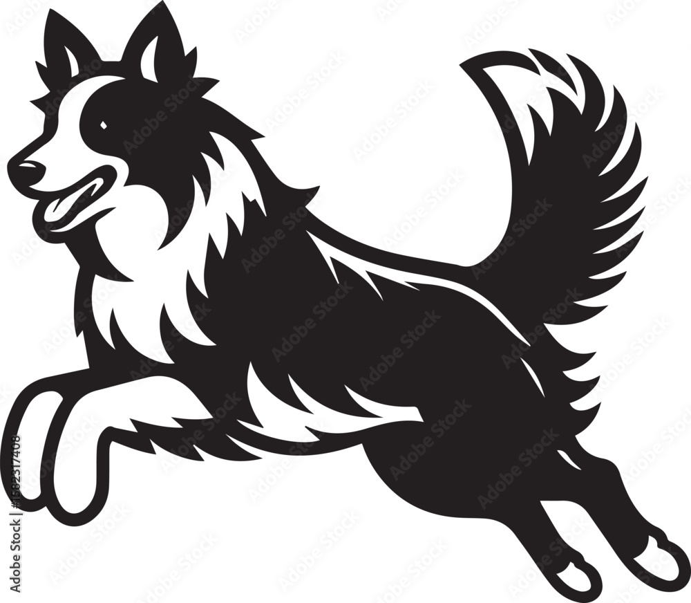 Fototapeta premium Border Collie Dog Vector – Silhouette 