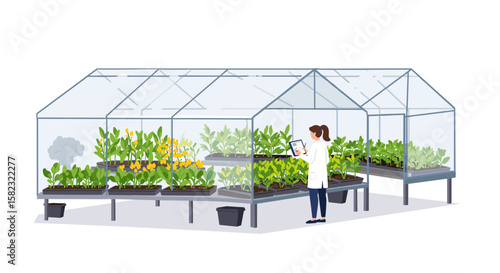 Modern greenhouse with researcher monitoring plant growth using digital tablet