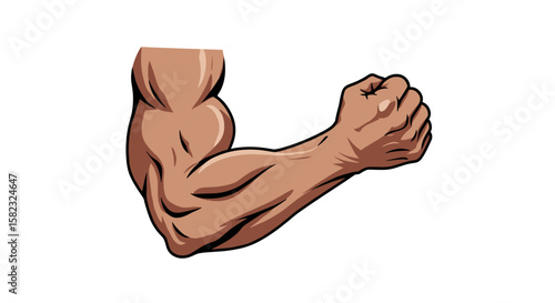 Strong flexed arm in cartoon style with emphasis on muscular definition