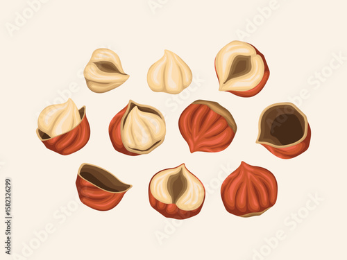 hazelnut nut cartoon organic harvest natural raw plant snack vegetarian product art pattern seamless