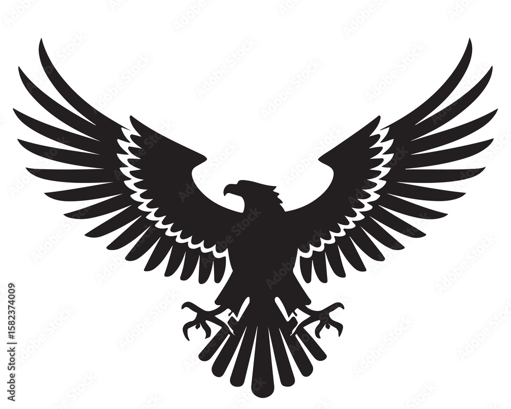 Fototapeta premium A silhouette of an eagle with outstretched wings against a plain white background image capture