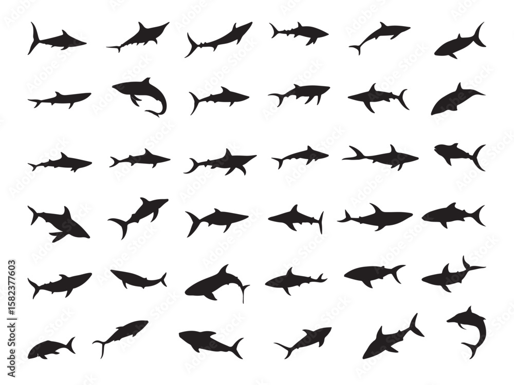 Fototapeta premium Diverse Shark Silhouettes for Design and Illustration