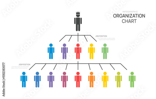organization chart Infographic pyramid template for with business avatar icons. vector illustration.