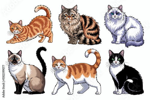 Six different cat breeds are illustrated, including tabby, Siamese, and tuxedo patterns, each depicted in a distinct pose and coloration.