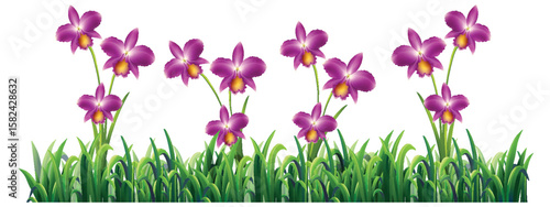 Vibrant Orchid Flowers in Lush Greenery