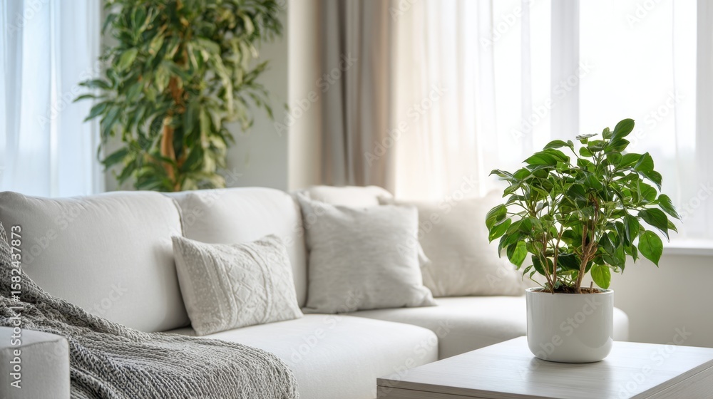 Naklejka premium Cozy home interior with green plant living room photography bright environment modern view comfort concept