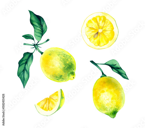Watercolor hand drawn set of yellow lemons with leaves and wedge and slice. Perfect for wedding invitations, greeting cards, packaging, labels and food designs.
