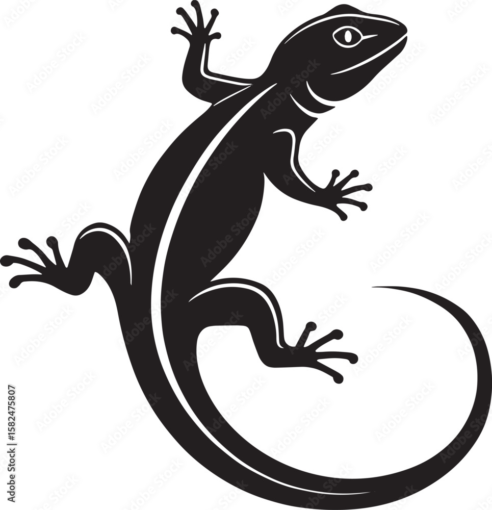 Naklejka premium Black lizard with curled tail reptile animal
