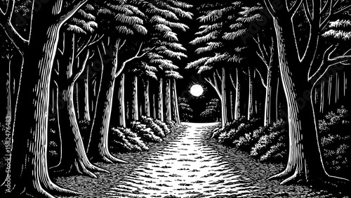 A dense forest pathway under moonlight with towering trees, glowing fireflies and misty air, represented in mystical black and white line art illustration for magical nighttime scenes