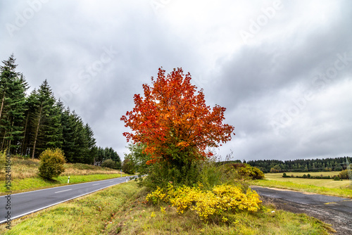 Fototapeta Naklejka Na Ścianę i Meble -  scenic Eiffel landscape with small roads at Steinborn,