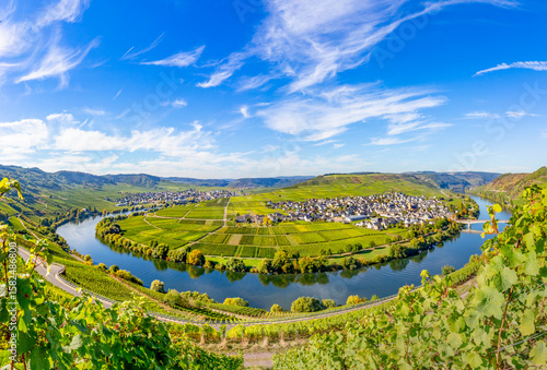 Fototapete Moselle river loop in Trittenheim, Germany.