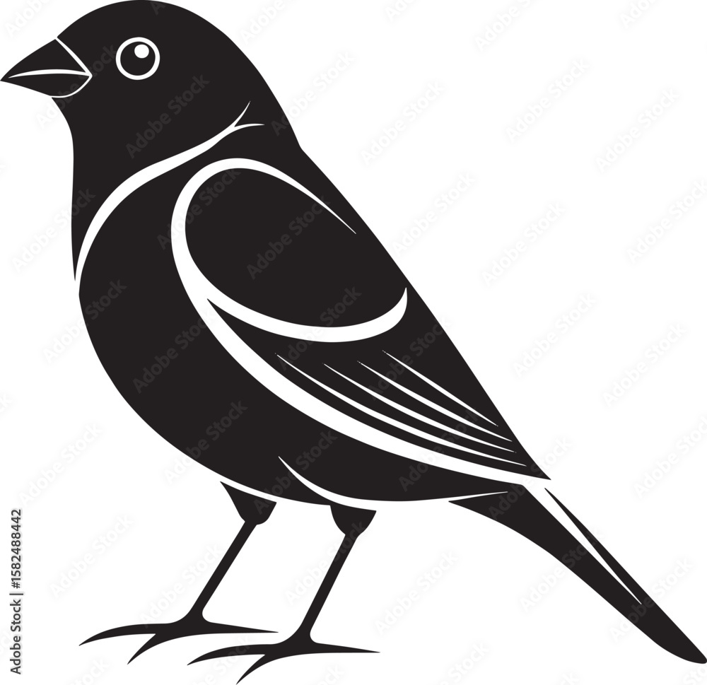 Obraz premium Stylized black bird with white accents graphic