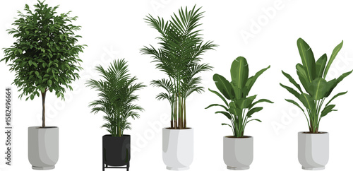 Modern indoor potted plants collection, tropical and decorative houseplants in ceramic planters, realistic 3D render for home or office decor