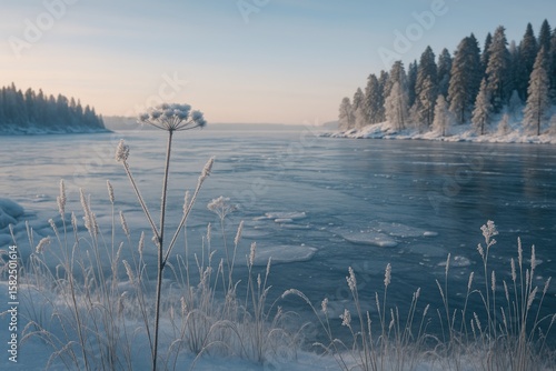 Valaam Island's Winter Landscape Celebrating the New Year
