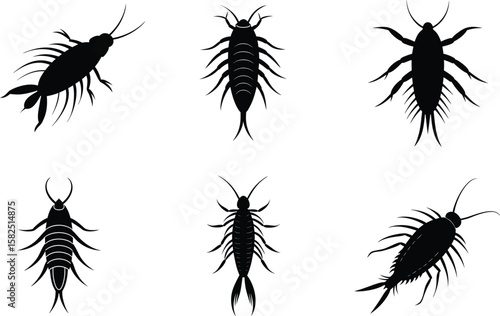 Copepod Silhouette Vector Illustration