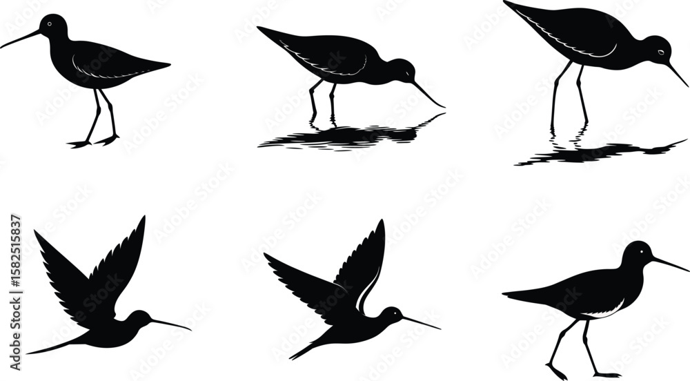 Fototapeta premium Dunlin Silhouette Vector Illustration Set