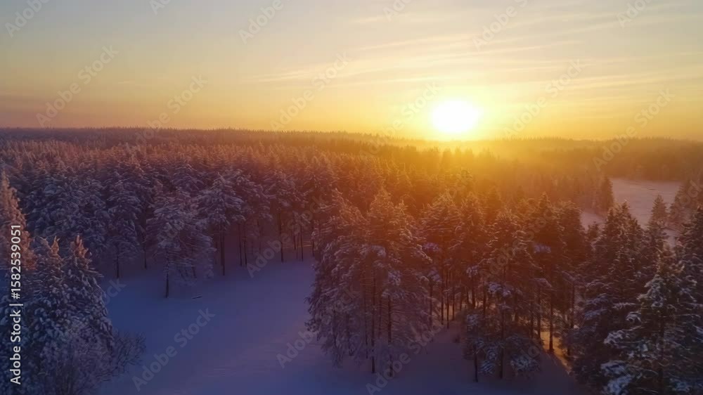 Scenic winter landscape, trees laden with snow, clear evening sky, serene ambiance Scenic winter landscape, trees laden with snow, clear evening sky, serene ambiance