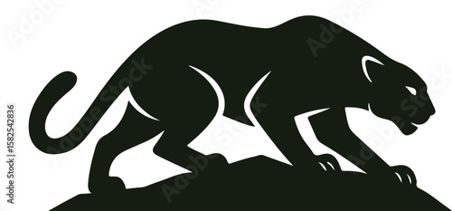 Crouching Panther Silhouette Poised on Elevated Rock