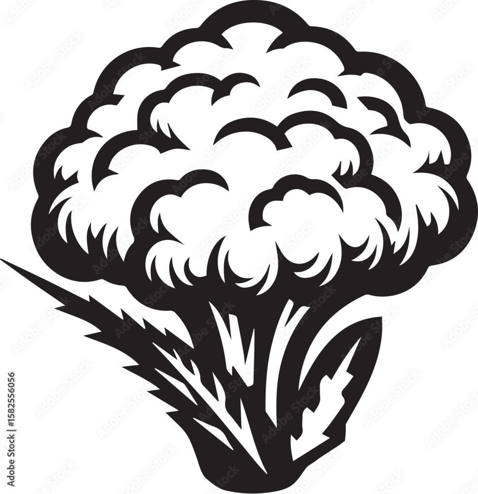 Fototapeta premium Illustration of a fresh cauliflower in black and white