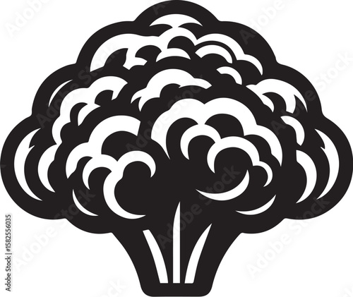 Illustration of a fresh cauliflower in black and white