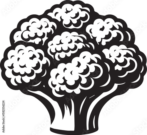 Illustration of a fresh cauliflower in black and white