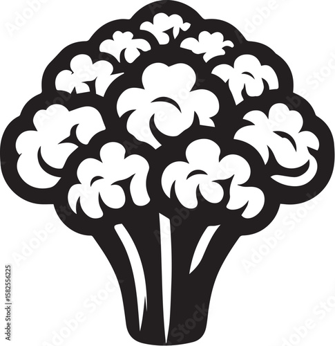 Illustration of a fresh cauliflower in black and white