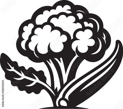 Illustration of a fresh cauliflower in black and white