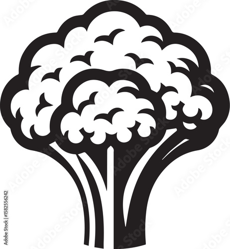 Illustration of a fresh cauliflower in black and white