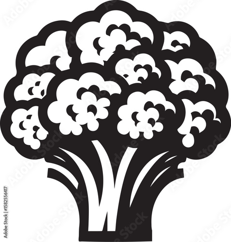 Illustration of a fresh cauliflower in black and white