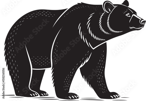 Black bear profile standing grizzly bear animal