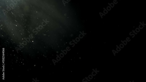 Photos Floating white dust particles in light beam on black background