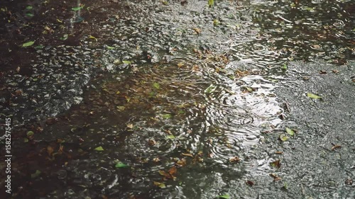 Close up of rainwater splashing on cracked concrete surface with scattered leaves and small puddles forming natural ripples