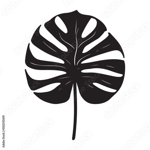 tropical leaves vector silhouette, Black vector illustration of a Monsters leaf, Black and White Tropical Plant, Stylized black monsters leaf design