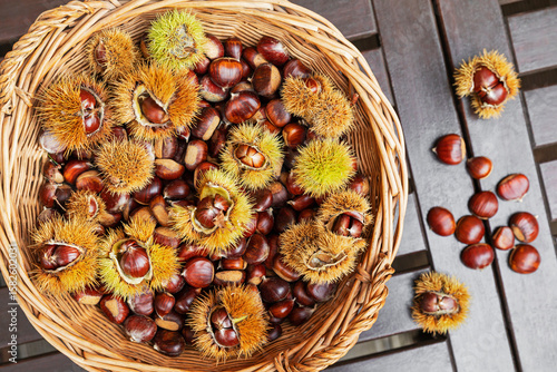 Sweet chestnut harvest in a wicker basket on a wooden table outdoors