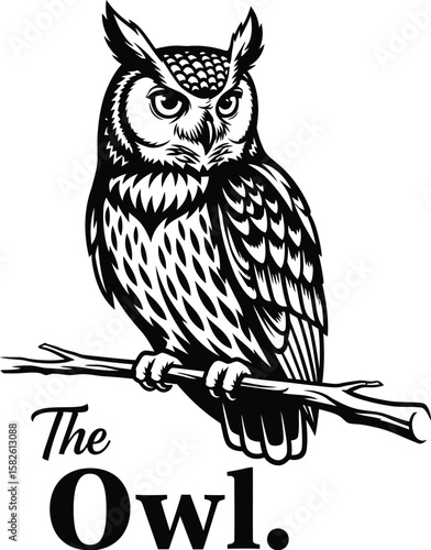 Elegant owl illustration in black and white perches on a branch, perfect for logos, branding, and design projects with nature themes.