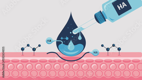 hyaluronic acid serum drop on skin layer, vector illustration for cosmetic dermatology, skin hydration and anti-aging treatment
