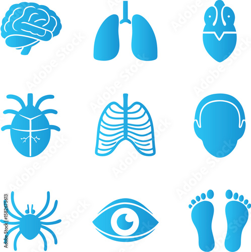 Collection of blue human and animal anatomy icons isolated on transparent background