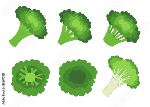 Broccoli Vector Set – Fresh Green Vegetable in Various Angles and Styles