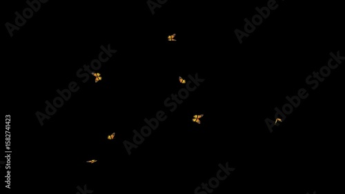 Looping Animation of Yellow Butterflies Flying Fast with Alpha Channel on Black Background