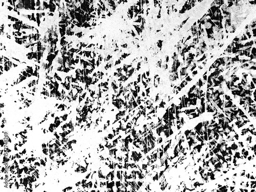Wallpaper Mural Abstract black and white texture featuring chaotic lines and patterns created by scratching Torontodigital.ca