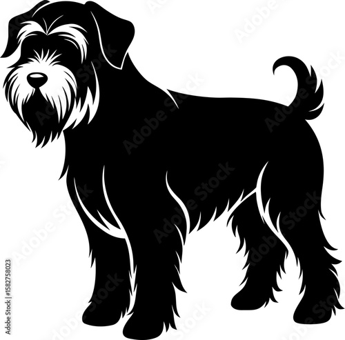 Soft Coated Wheaten Terrier  silhouette  vector black , white background 