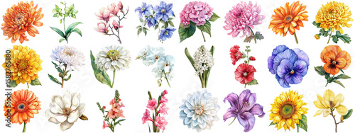 Watercolor flower set isolated background. Various floral collection of nature blooming flower clip art illustration element for retro flora wedding or romantic valentine card. crisp edges cut out.