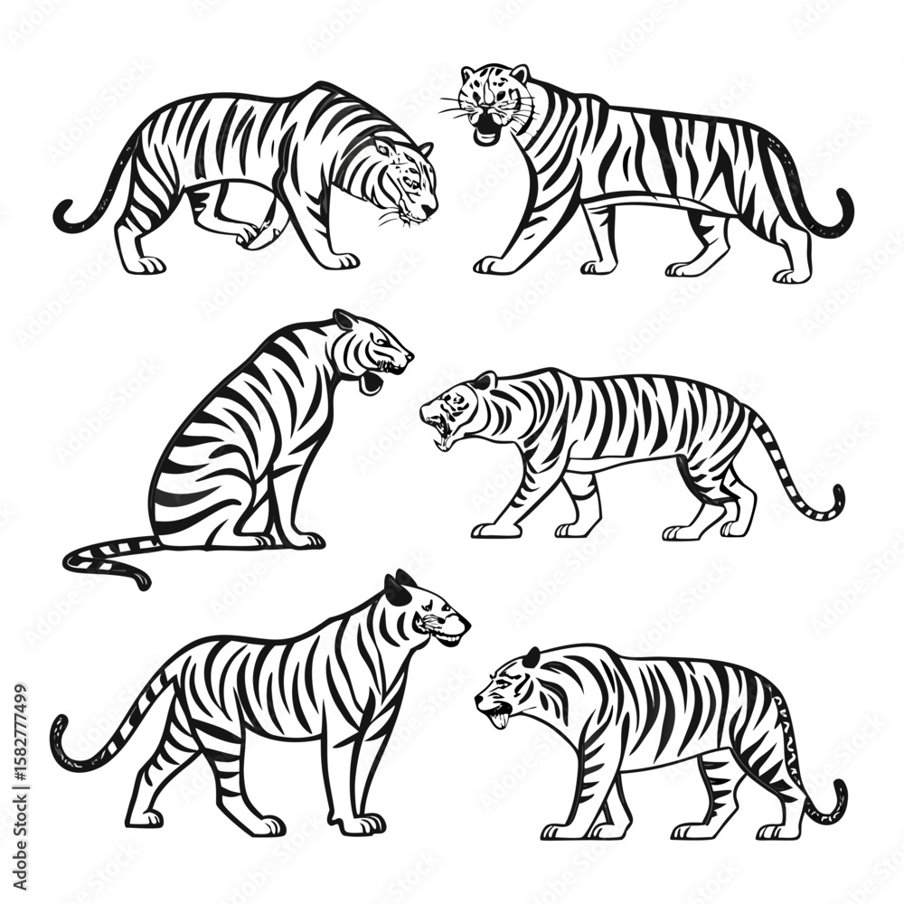 Fototapeta premium Animal Vactor