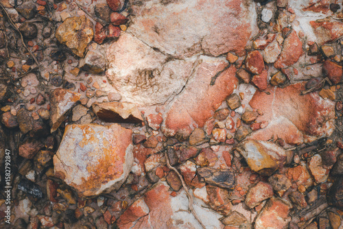 Rustic Red Brick and Earth Ground Texture