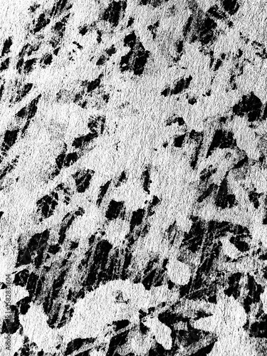 Black and white textured surface captures an abstract pattern resembling nature's design