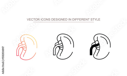 Spleen icon design with white background stock illustration