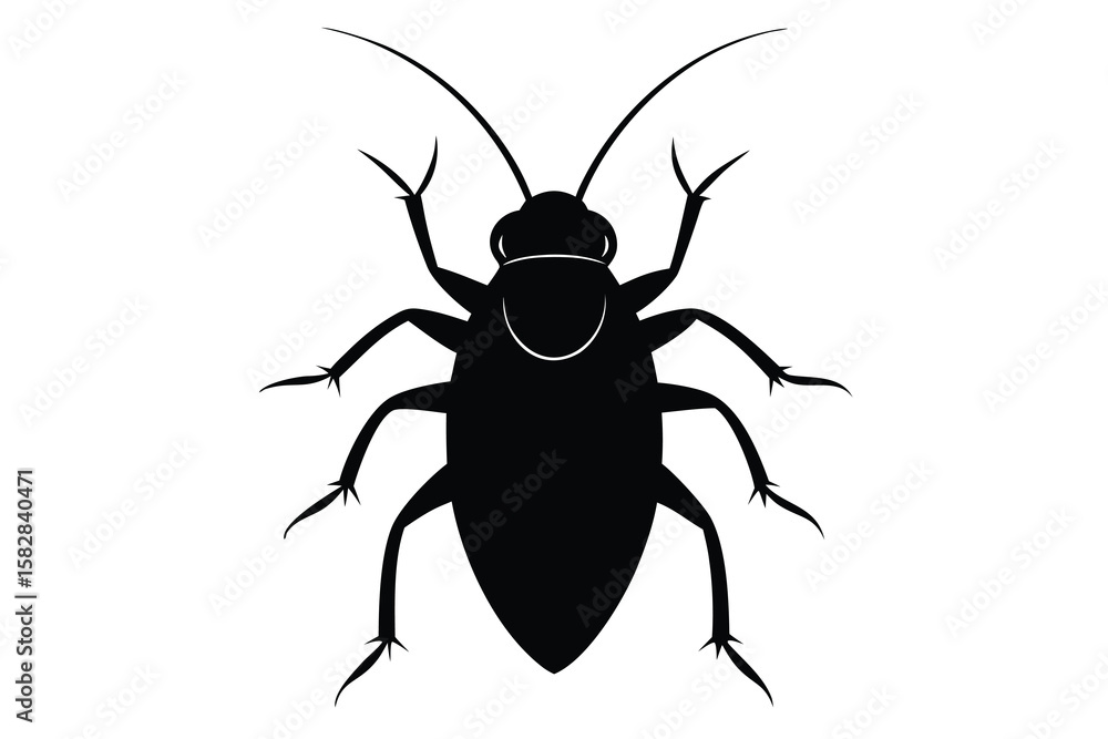 Vector art of black silhouette of a cockroach isolated on white background Vector art of black silhouette of a cockroach isolated on white background