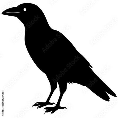 Standing crow bird animal wildlife nature fauna silhouette vector illustration